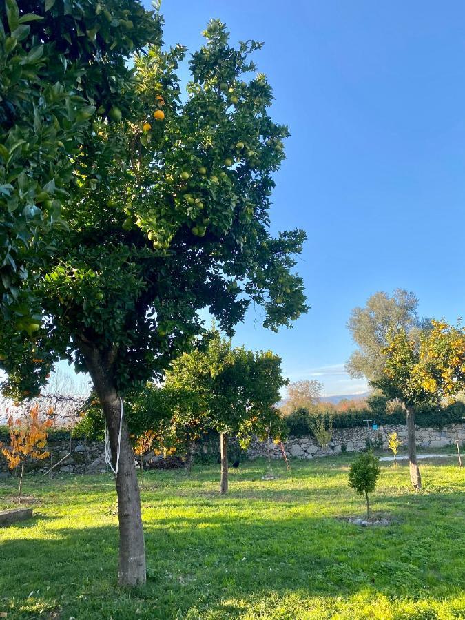 Quinta De Areias Bed and Breakfast Crespos Eksteriør billede