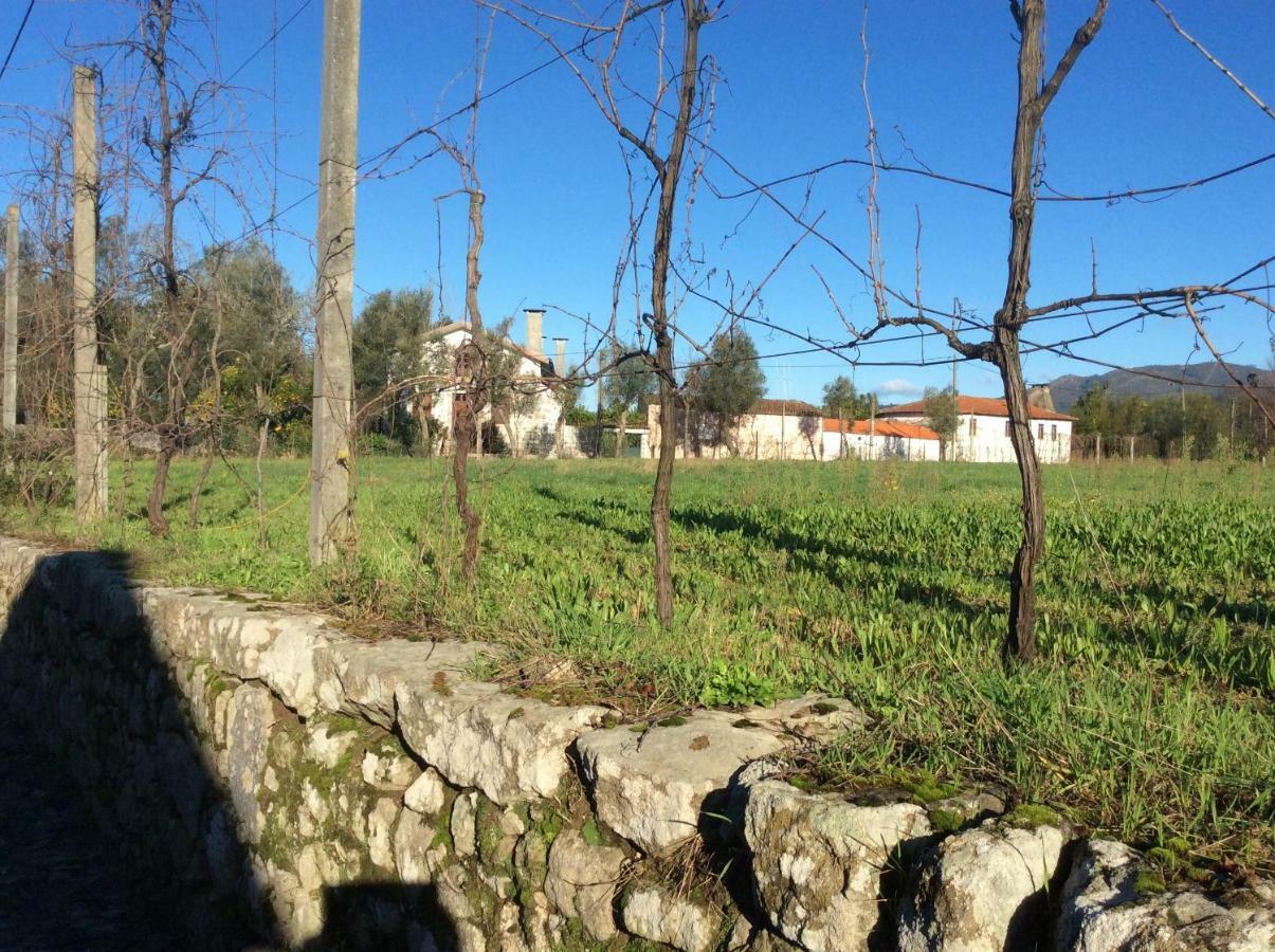 Quinta De Areias Bed and Breakfast Crespos Eksteriør billede