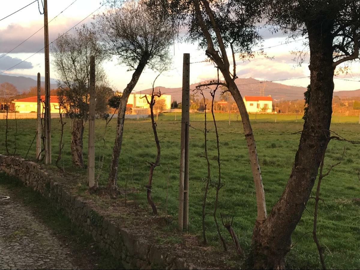 Quinta De Areias Bed and Breakfast Crespos Eksteriør billede